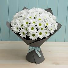 Букет цветов из:  Хризантемы в Анастасиевской