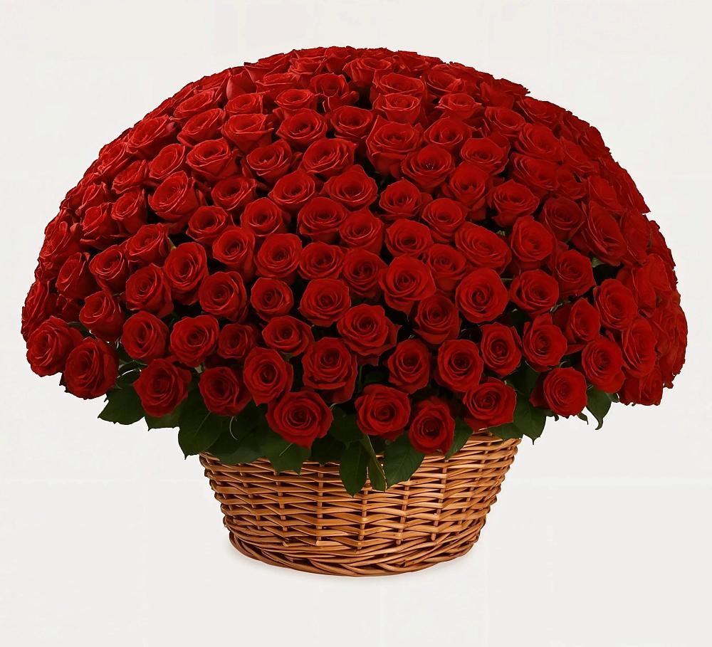 Премиум букет из: Розы в Анастасиевской