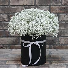 Цветочная композиция из Гипсофила в шляпной коробке в Анастасиевской